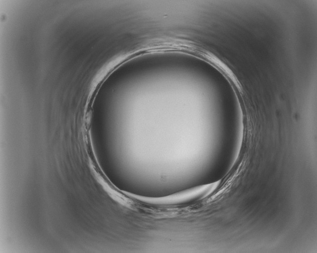 X0000080801485200612151451