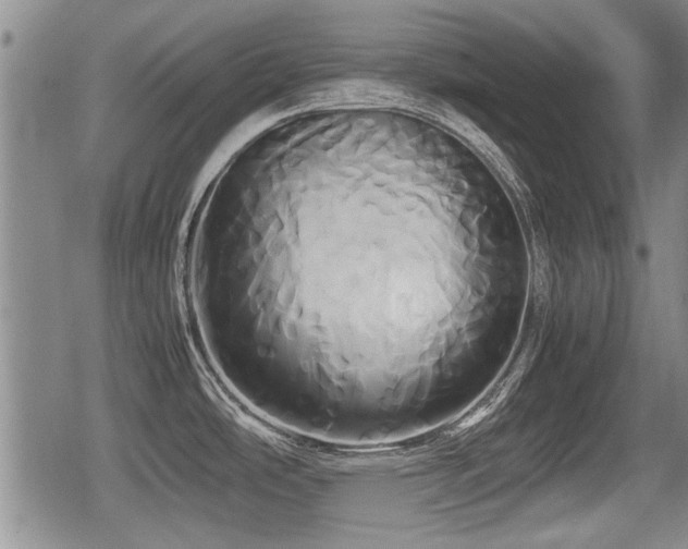 X0000080801486200612151451