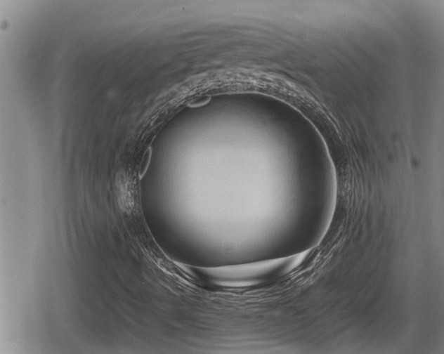 X0000080801490200612151450