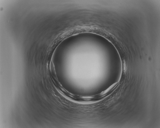 X0000080801492200612151450