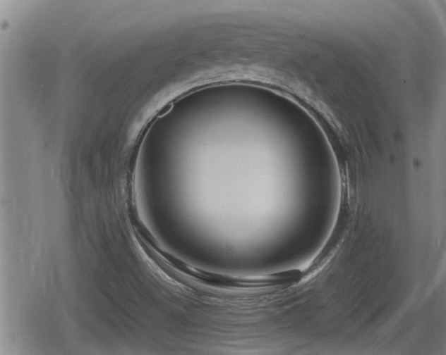 X0000080801500200612151450