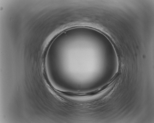 X0000080801511200612151450