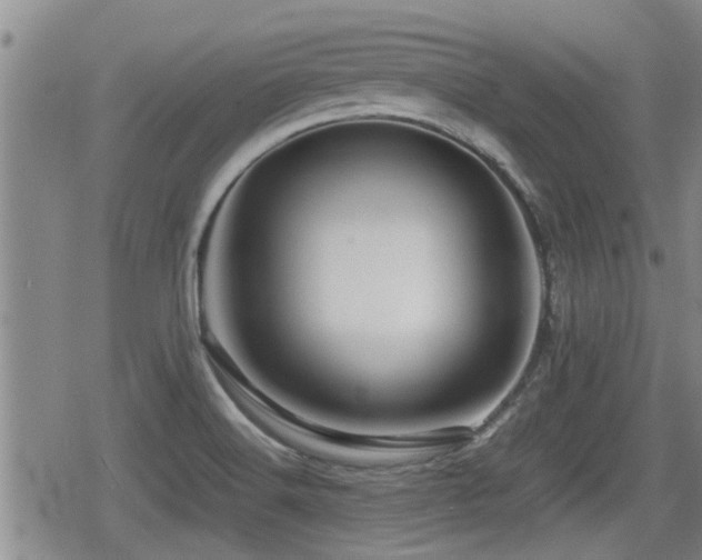 X0000080801516200612151450