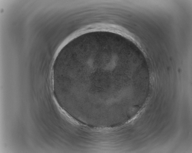 X0000080801522200612151450