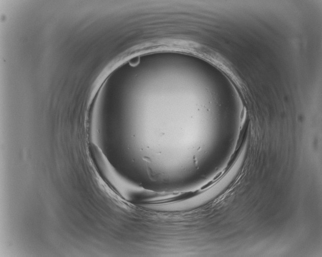 X0000080801532200612151450