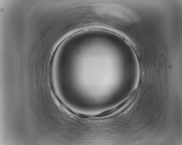 X0000080801534200612151451