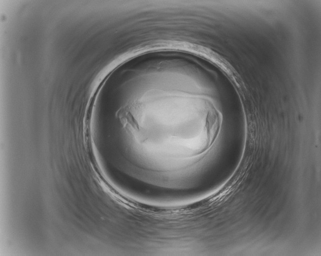 X0000080801535200612151451