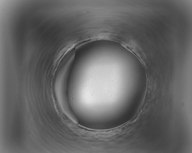 X0000080800001200612221607