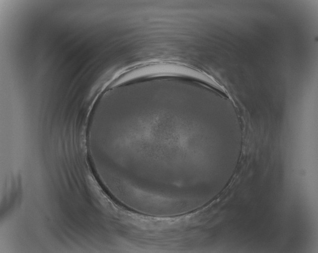 X0000080800002200612221607