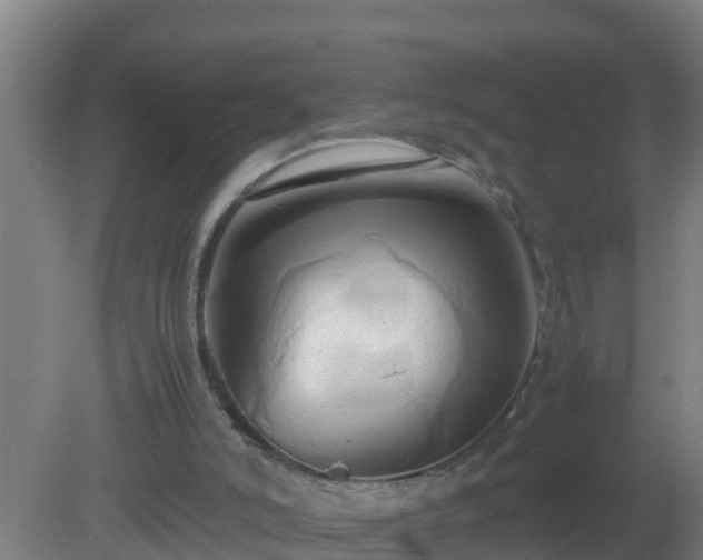 X0000080800006200612221607