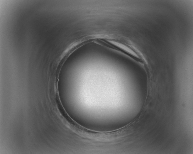 X0000080800011200612221607
