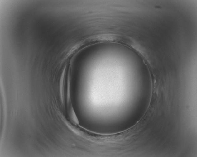 X0000080800013200612221606