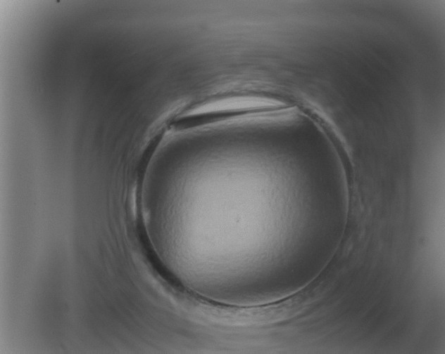 X0000080800019200612221606