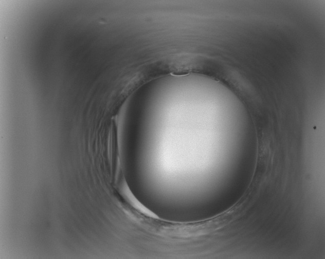 X0000080800025200612221606