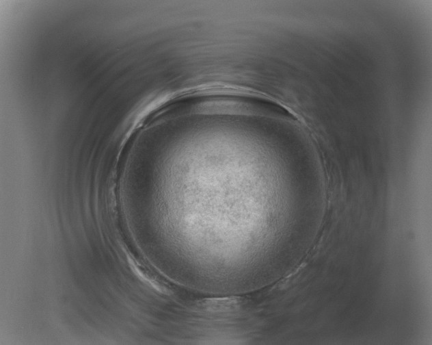 X0000080800050200612221605