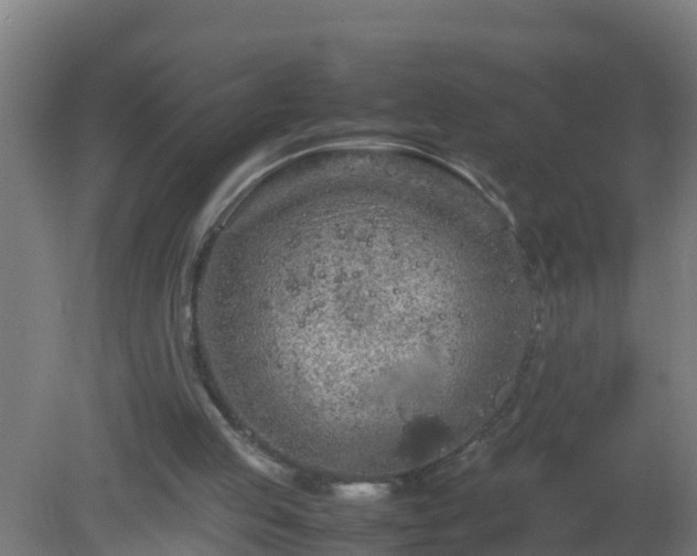 X0000080800053200612221605