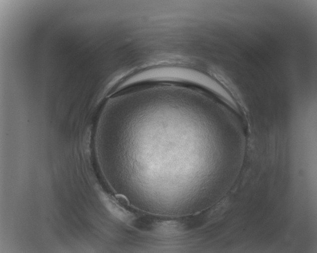 X0000080800058200612221605