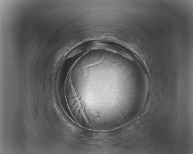 X0000080800097200612221605