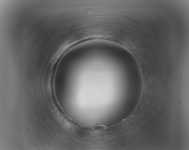 X0000080800098200612221605