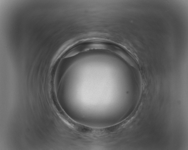 X0000080800101200612221605