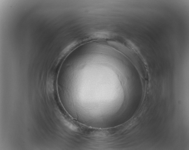 X0000080800106200612221605