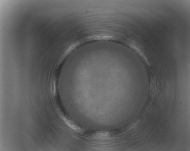 X0000080800110200612221605