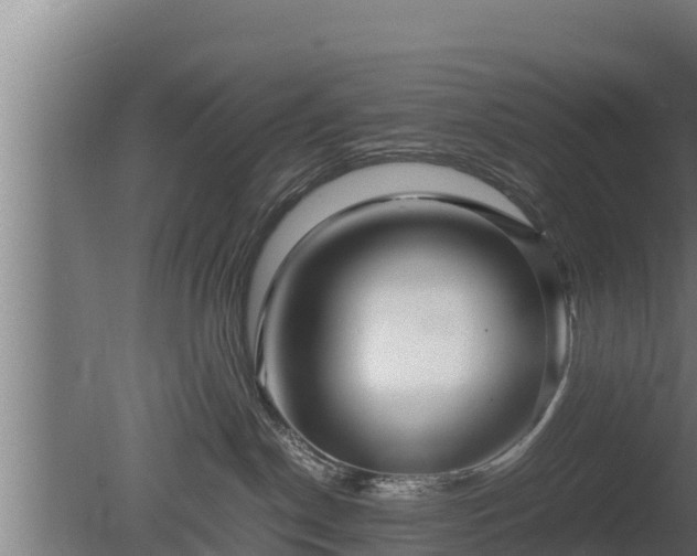 X0000080800190200612221604