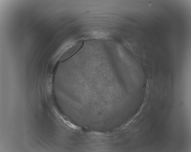 X0000080800194200612221603