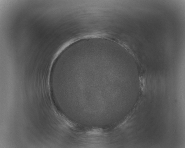 X0000080800196200612221603