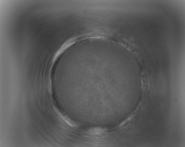 X0000080800198200612221603