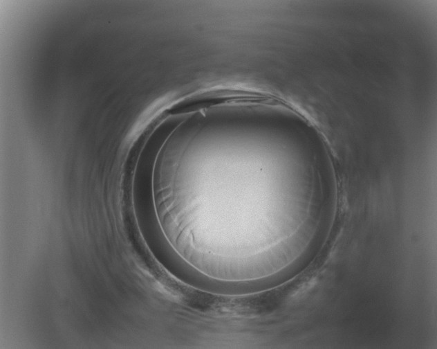 X0000080800199200612221603