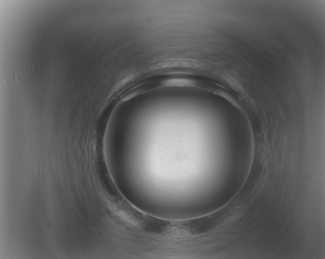 X0000080800207200612221603