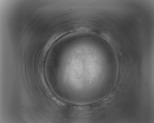 X0000080800241200612221602
