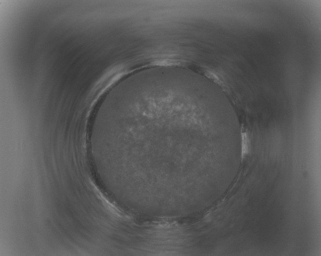 X0000080800243200612221602