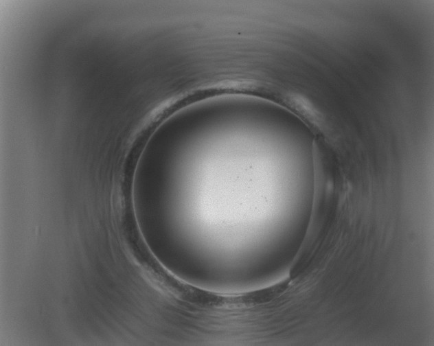 X0000080800252200612221602