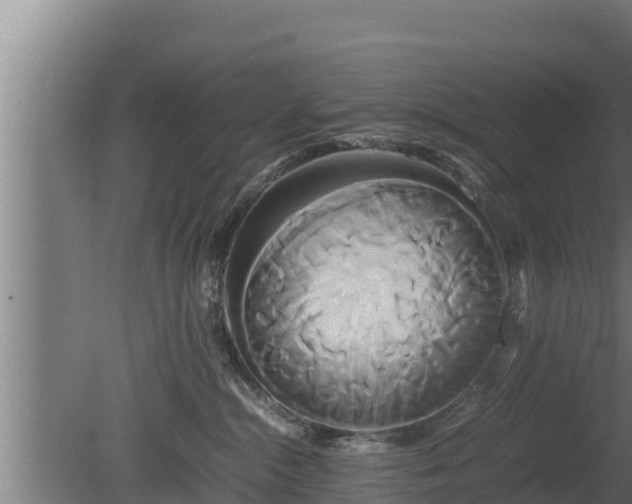 X0000080800284200612221603