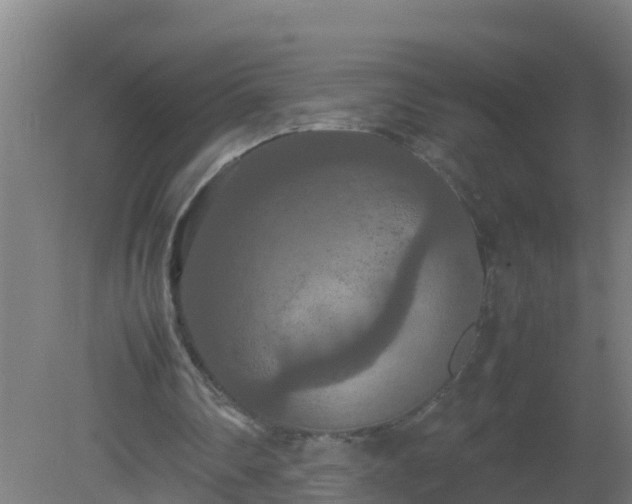 X0000080800290200612221602