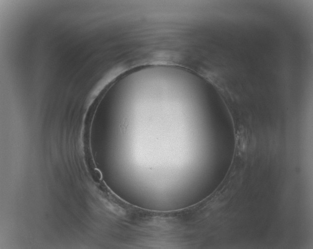 X0000080800292200612221602