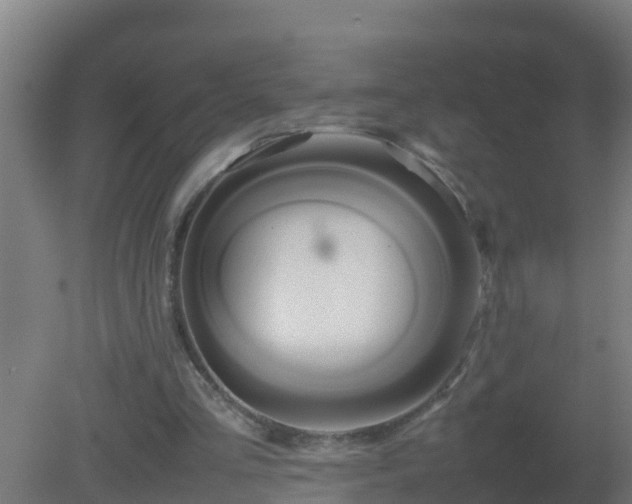 X0000080800293200612221602