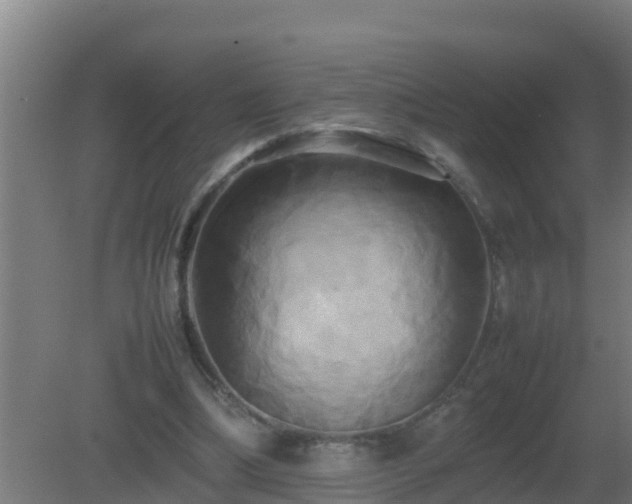X0000080800298200612221602