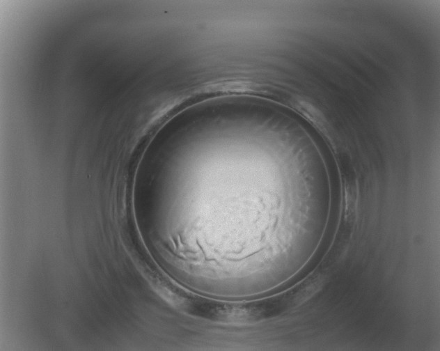 X0000080800301200612221602