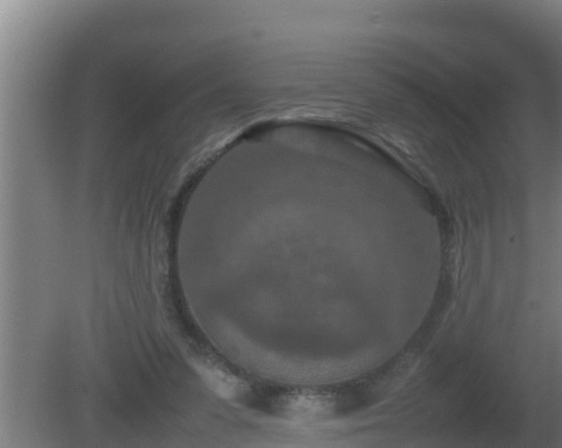 X0000080800303200612221602