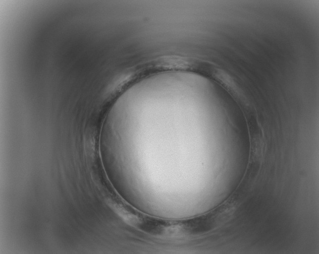 X0000080800309200612221601