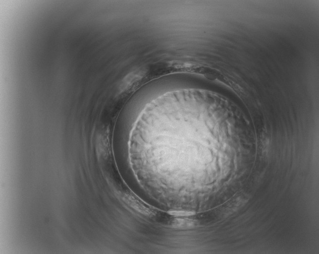 X0000080800376200612221601