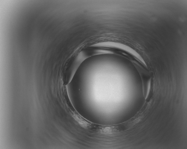 X0000080800382200612221601