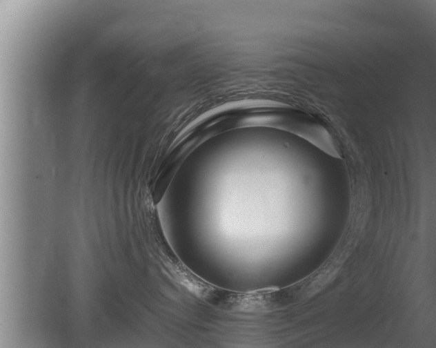 X0000080800384200612221601