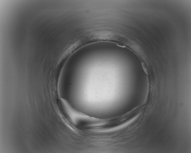 X0000080800397200612221600