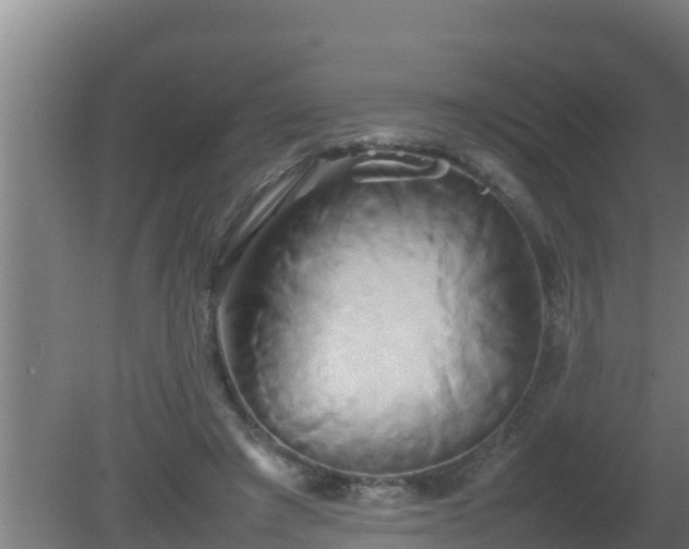X0000080800401200612221600