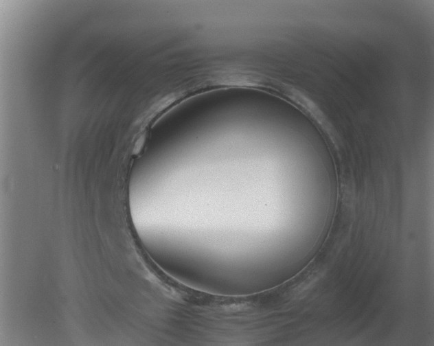 X0000080800433200612221559
