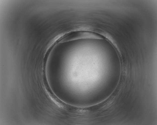 X0000080800437200612221559
